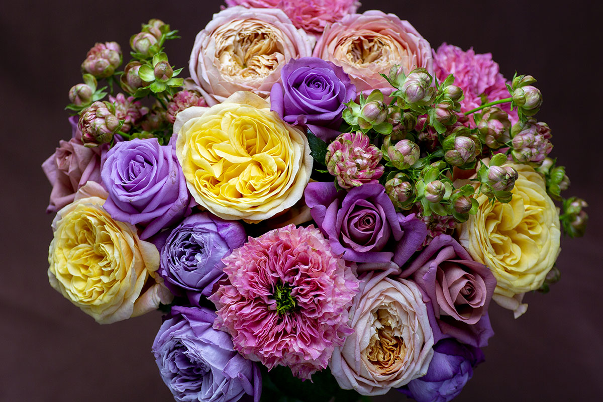 エゼ様オーダー染め花　薔薇&アネモネ エゼ様オーダー染め花 薔薇&アネモネ